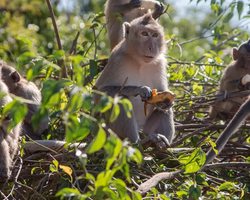 Madagascar Express sea excursion Seven Countries Pattaya photo 206