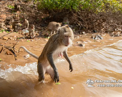 Madagascar Express sea excursion Seven Countries Pattaya photo 368