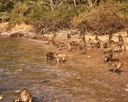 Sea cruise tour Madagascar Express with 7 Countries Pattaya photo 54