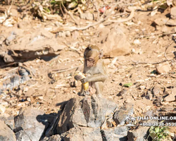 Madagascar Express sea excursion Seven Countries Pattaya photo 208