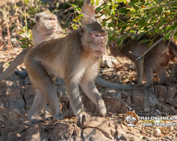 Madagascar Express sea excursion Seven Countries Pattaya photo 256