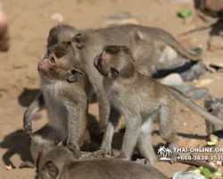 Sea cruise tour Madagascar Express with 7 Countries Pattaya photo 1606