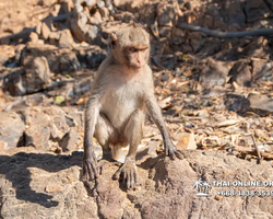 Sea cruise tour Madagascar Express with 7 Countries Pattaya photo 171