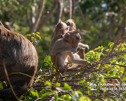 Madagascar Express sea excursion Seven Countries Pattaya photo 304