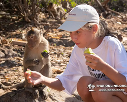 Sea cruise tour Madagascar Express with 7 Countries Pattaya photo 459