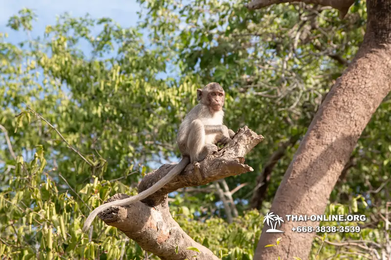 Madagascar Express sea excursion Seven Countries Pattaya photo 218