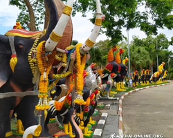 Ayuttaya & Bang Pa In tour from Pattaya Seven Countries - photo 13