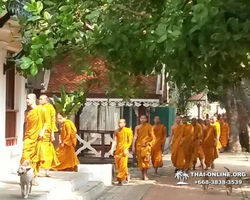 Ayuttaya & Bang Pa In tour from Pattaya Seven Countries - photo 51