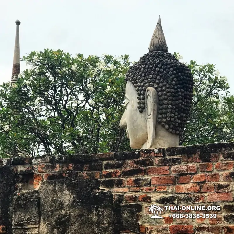 Excursion Ayutthaya and Bang Pa In from Pattaya 7 Countries photo 6