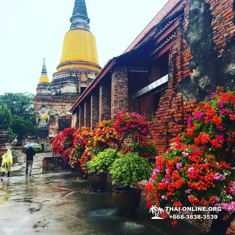 Excursion Ayutthaya and Bang Pa In from Pattaya 7 Countries photo 4