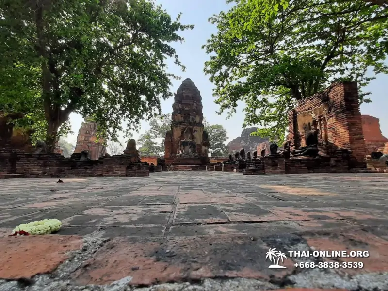 Excursion Ayutthaya and Bang Pa In from Pattaya 7 Countries photo 9