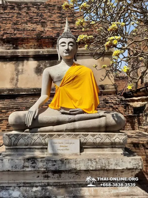 Excursion Ayutthaya and Bang Pa In from Pattaya 7 Countries photo 20