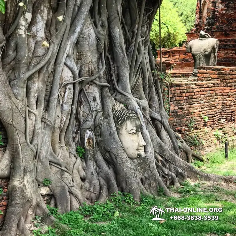 Excursion Ayutthaya and Bang Pa In from Pattaya 7 Countries photo 8