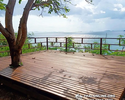 Golden Mangrove Forest tour Seven Countries Pattaya travel photo 236