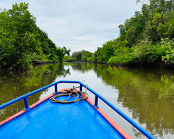 Golden Mangrove Forest tour Seven Countries Pattaya travel photo 39
