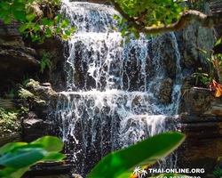 Golden Mangrove Forest tour Seven Countries Pattaya travel photo 261