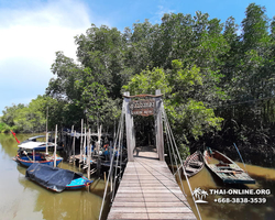Golden Mangrove Forest tour Seven Countries Pattaya travel photo 26