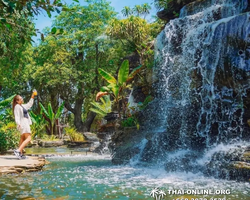 Golden Mangrove Forest tour Seven Countries Pattaya travel photo 251