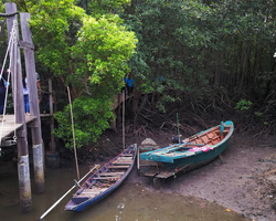 Golden Mangrove Forest tour Seven Countries Pattaya travel photo 29