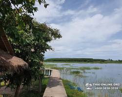 Golden Mangrove Forest tour Seven Countries Pattaya travel photo 113