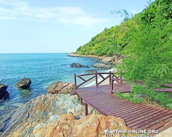 Golden Mangrove Forest tour Seven Countries Pattaya travel photo 233