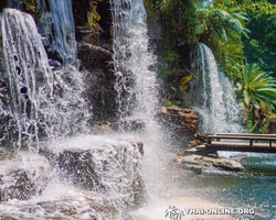 Golden Mangrove Forest tour Seven Countries Pattaya travel photo 263