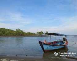 Golden Mangrove Forest tour Seven Countries Pattaya travel photo 49