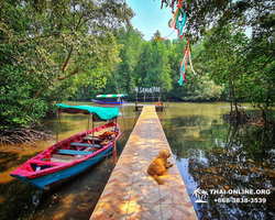 Golden Mangrove Forest tour Seven Countries Pattaya travel photo 3