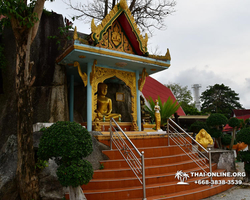 Golden Mangrove Forest tour Seven Countries Pattaya travel photo 139