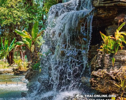 Golden Mangrove Forest tour Seven Countries Pattaya travel photo 253