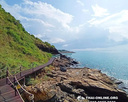 Golden Mangrove Forest tour Seven Countries Pattaya travel photo 235