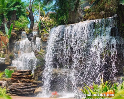 Golden Mangrove Forest tour Seven Countries Pattaya travel photo 258