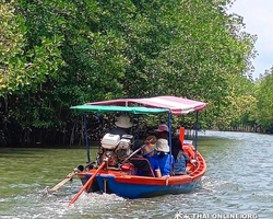 Golden Mangrove Forest tour Seven Countries Pattaya travel photo 216