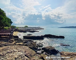 Golden Mangrove Forest tour Seven Countries Pattaya travel photo 232