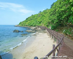 Golden Mangrove Forest tour Seven Countries Pattaya travel photo 237