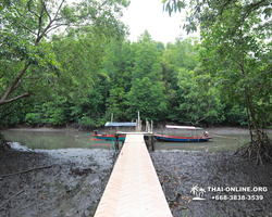 Golden Mangrove Forest tour Seven Countries Pattaya travel photo 23