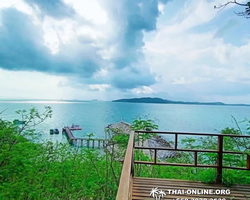 Golden Mangrove Forest tour Seven Countries Pattaya travel photo 268