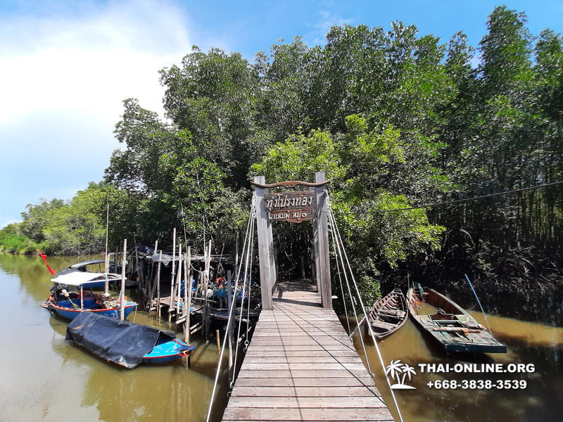 Golden Mangrove Forest tour Seven Countries Pattaya travel photo 26
