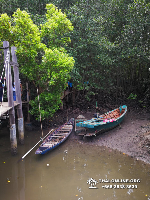 Golden Mangrove Forest tour Seven Countries Pattaya travel photo 29