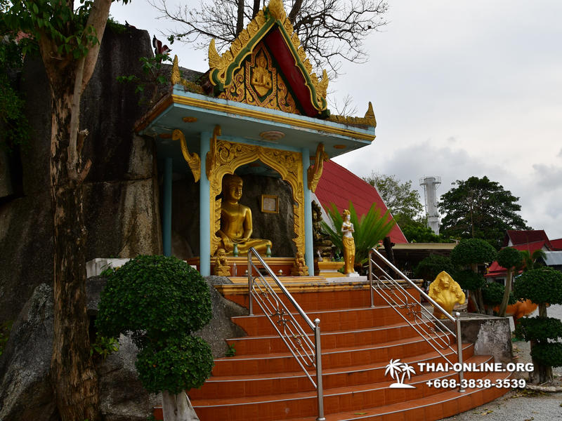 Golden Mangrove Forest tour Seven Countries Pattaya travel photo 139