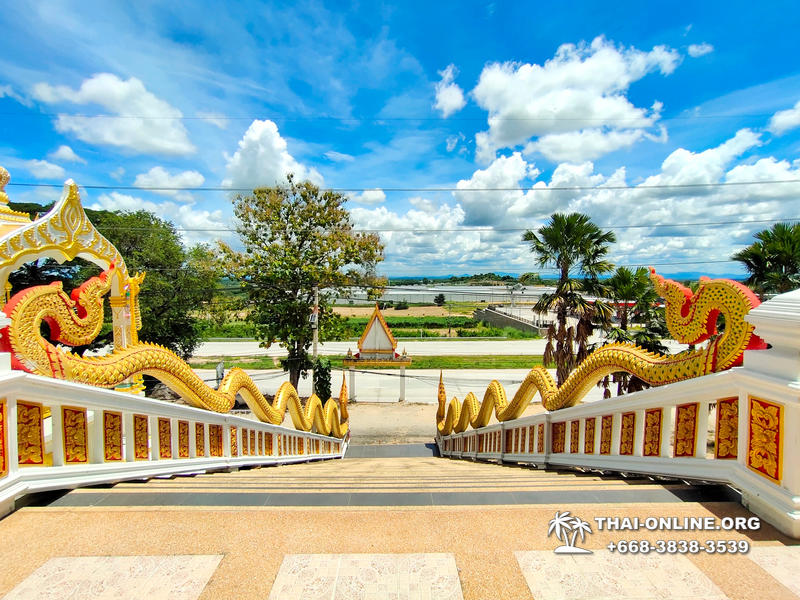 Golden Mangrove Forest tour Seven Countries Pattaya travel photo 130