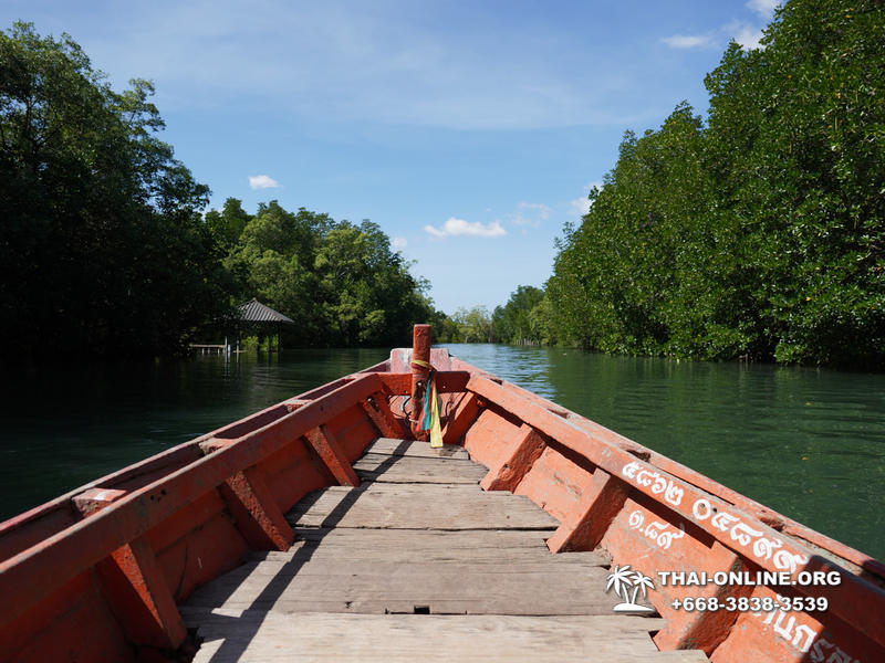 Golden Mangrove Forest tour Seven Countries Pattaya travel photo 38