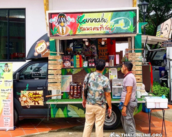 Cannabis Tour Pattaya ganja test excursion Seven Countries photo 5