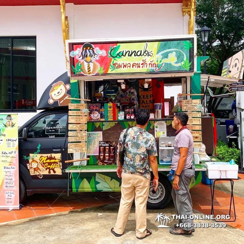 Cannabis Tour Pattaya ganja test excursion Seven Countries photo 5