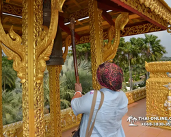 Nong Nooch Garden excursion 7 Countries in Thailand Pattaya photo 507