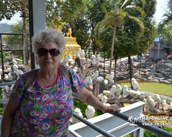 Nong Nooch Garden excursion in Thailand Pattaya - photo 228