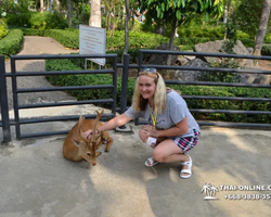 Nong Nooch Garden excursion 7 Countries in Thailand Pattaya photo 1209