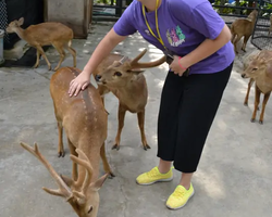 Nong Nooch Garden excursion 7 Countries in Thailand Pattaya photo 2014