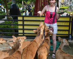 Nong Nooch Garden excursion 7 Countries in Thailand Pattaya photo 710