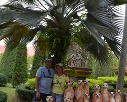 Nong Nooch Garden excursion in Thailand Pattaya - photo 188